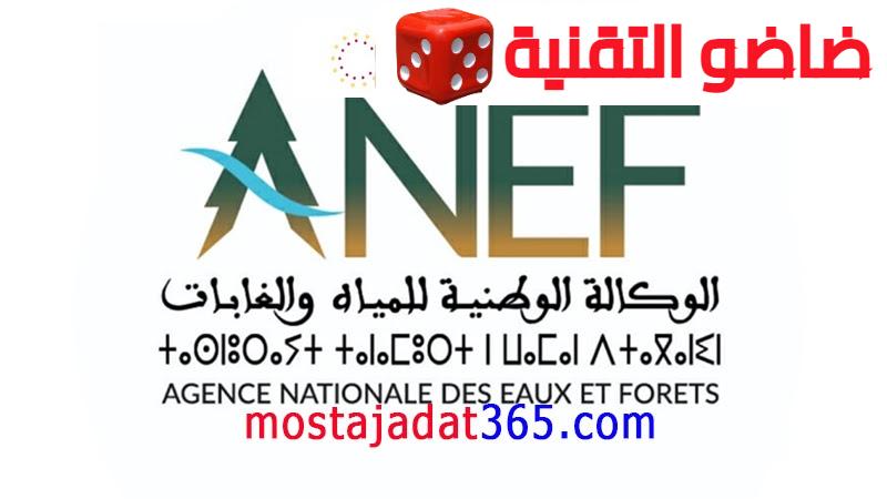 الوكالة الوطنية للمياه والغابات 2023 2024 Concours ANEF
