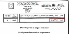 امتحان ديداكتيك الفرنسية تخصص مزدوج الابتدائي مباراة التعليم 2023